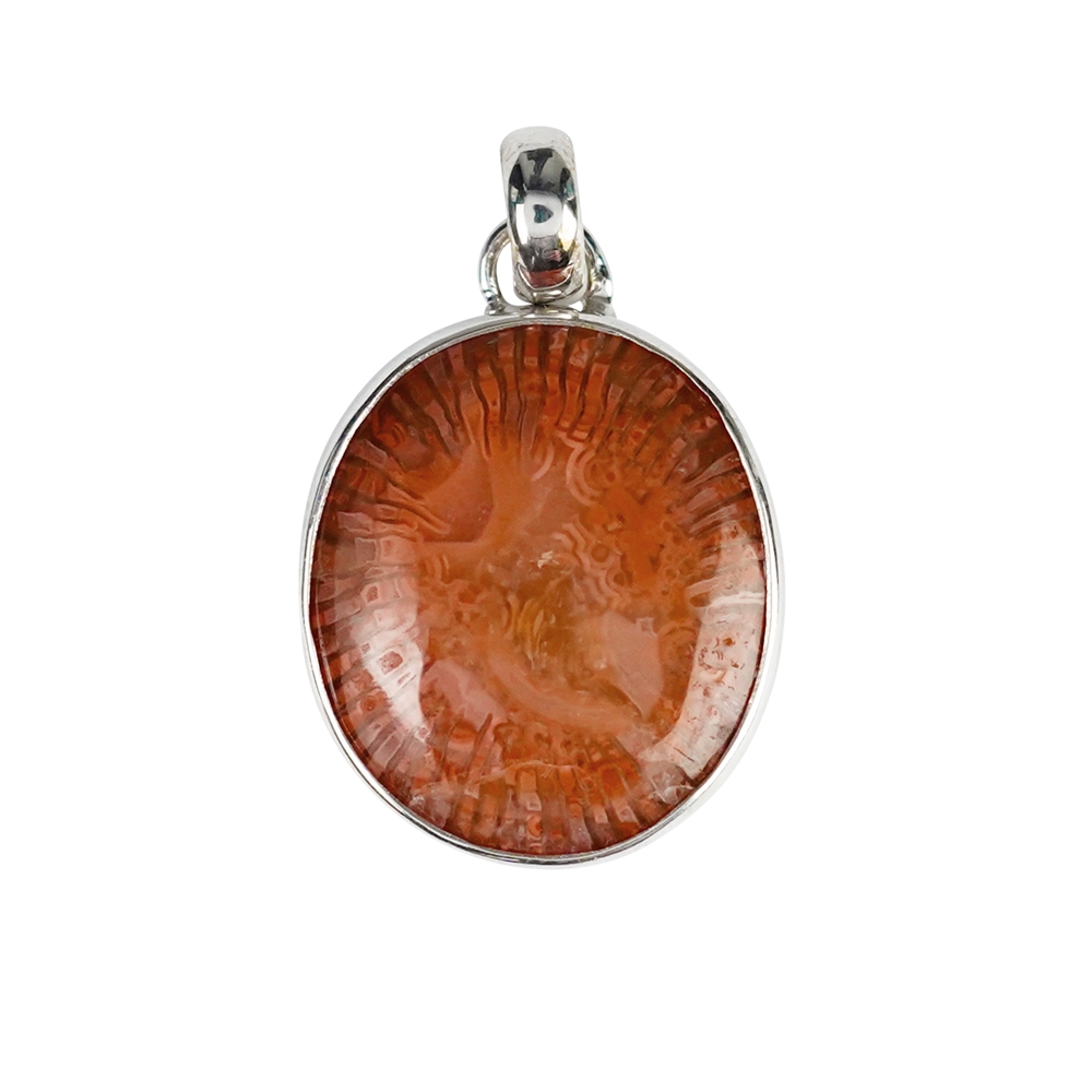 Pendant, horn coral (17mm), 2,2cm, rhodium plated
