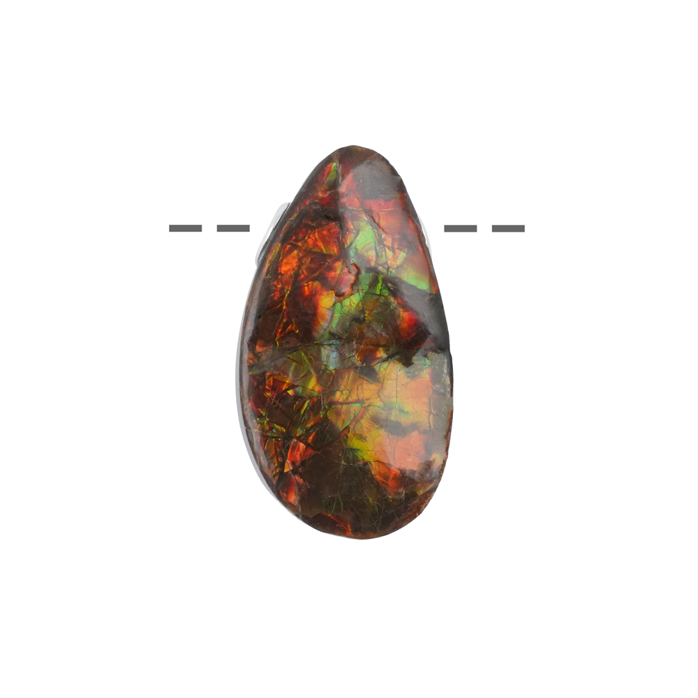 Ammolite freeform, percée, 2,8 - 3,7cm, capuchons rhodiés