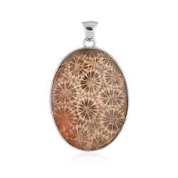 242018240101 Petrified Coral AAA pendant, oval (45 x 30mm), 5.5cm, rhodiniert | Marco Schreier