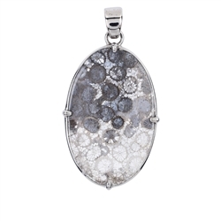 242023210376 Petrified Coral (gray) Oval Pendant (40 x 25mm), 5.5cm, platinum plated | Marco Schreier