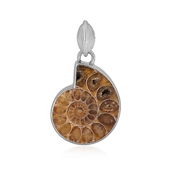 242023230307 Ammonite pendant (26 x 22mm), 3.5cm, platinum plated | Marco Schreier