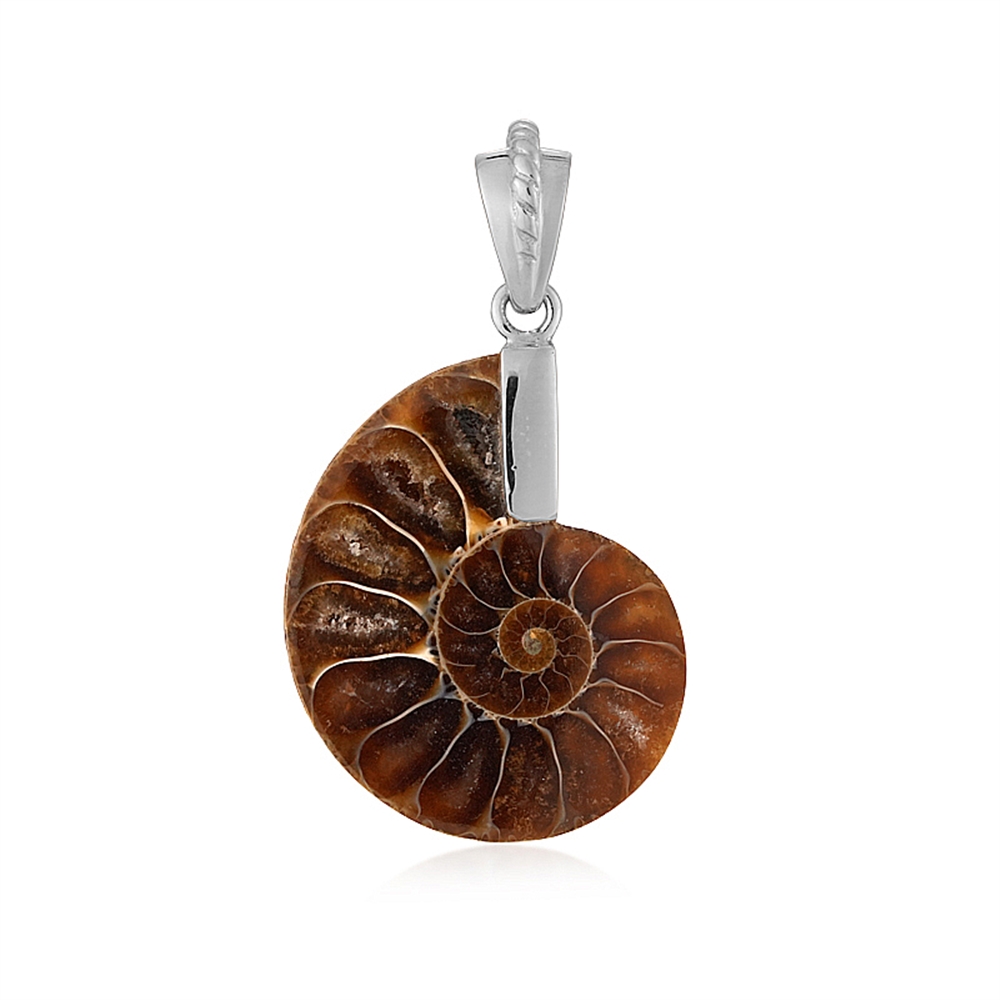 Ammonite pendant (26 x 21mm), 3.5cm, platinum plated