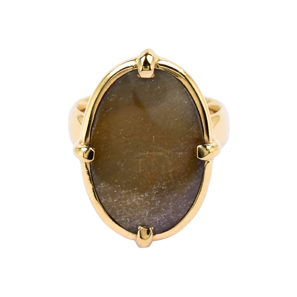Ring versteinertes Holz oval (20 x 15mm), Größe 51, vergoldet