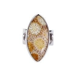 243018210014 Anillo Coral petrificado Navette (31 x 15mm), talla 54  | Marco Schreier