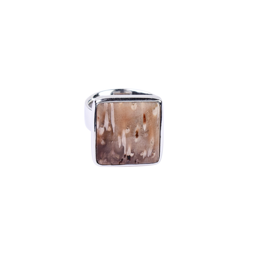 Petrified Palm Wood square ring, size 51, rhodium plated