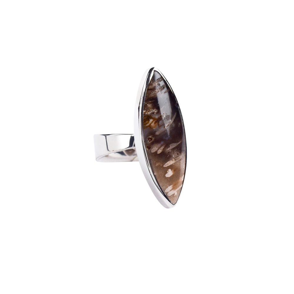 Petrified Palm Wood Marquise Ring, Size 51, Rhodium Plated