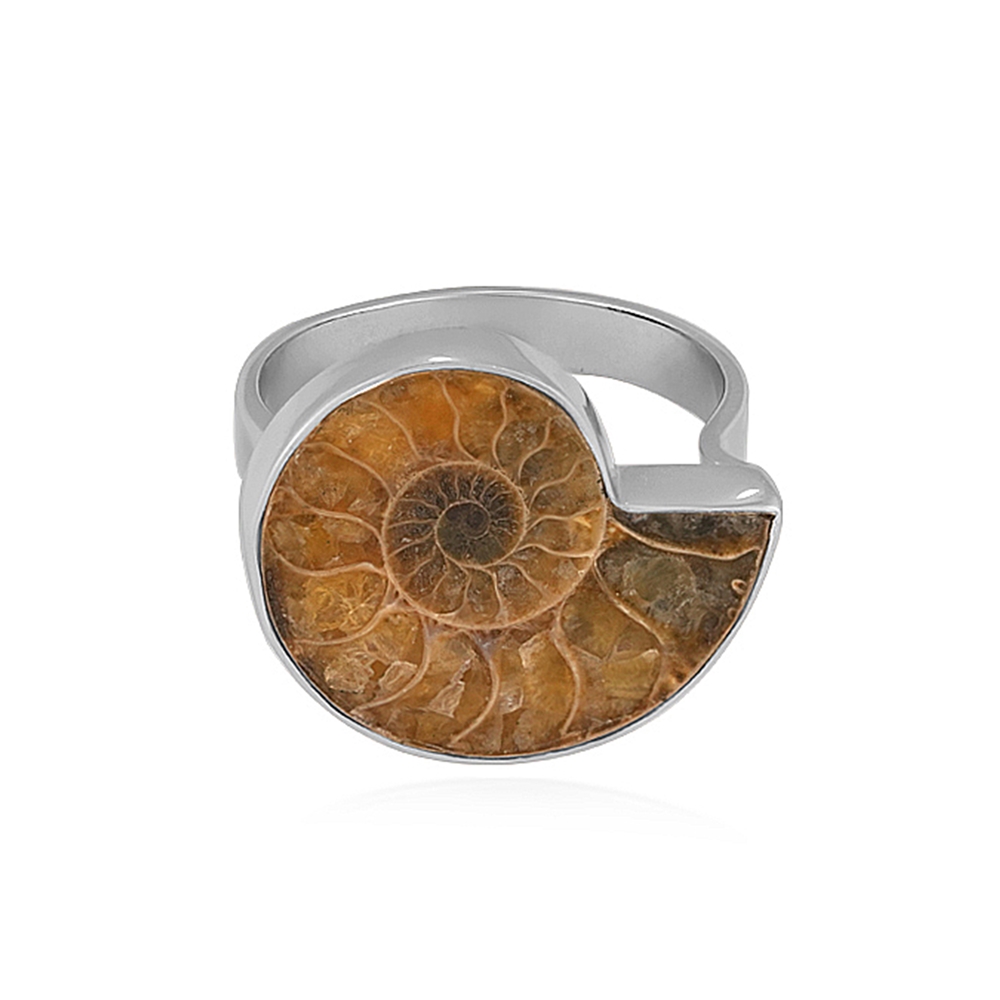 Ammonite ring (22 x 18mm), size 57 (18), platinum plated