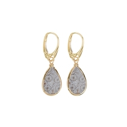 244009210318 Petrified Coral (gray) drop earrings (18 x 12mm), 4,0cm, gold plated | Marco Schreier