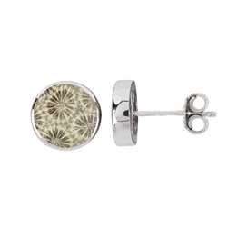 244018210064 Clous d'oreilles Corail fossilisé rond (12mm), 1,4cm, platiné | Marco Schreier