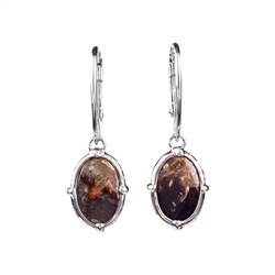 244018210320 Earrings Petrified Palm Wood oval, 3.4cm, rhodium plated | Marco Schreier