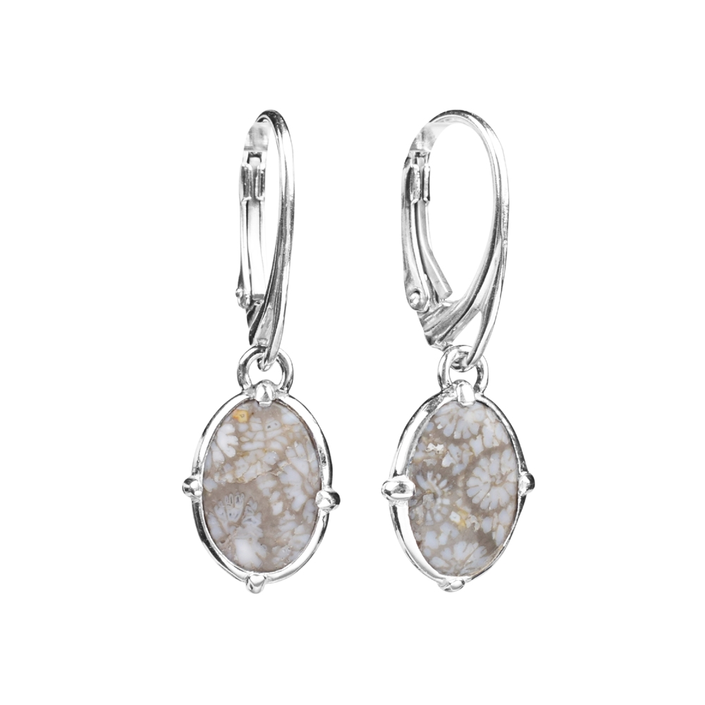 Earrings Petrified Coral (gray) oval, 3.4cm, rhodium plated