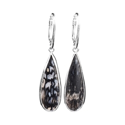 244018210325 Petrified Palm Wood drop earrings, 5.1cm, rhodium plated | Marco Schreier