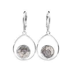 244018210327 Earrings Petrified Coral (gray) circle in drops, 4.3cm, rhodium plated | Marco Schreier