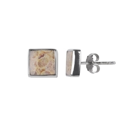 244018210342 Earstud Petrified Coral (brown) square, 1,0cm, rhodium plated | Marco Schreier