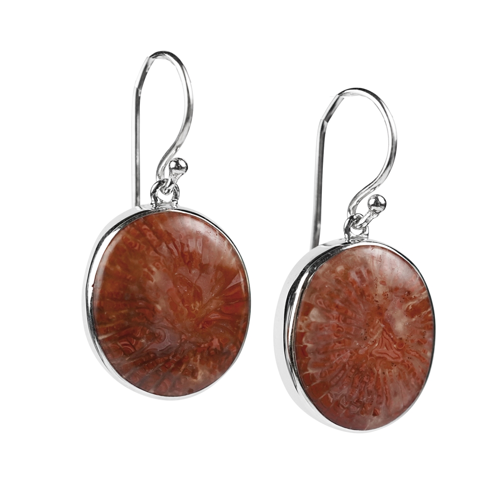 Earrings horn coral oval (15 x 12mm), 2.8cm, rhodium plated