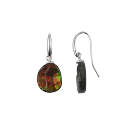 244018250002 Earrings Ammolite Freeform (7-11 x 11-18mm), 3.0cm, rhodiniert | Marco Schreier