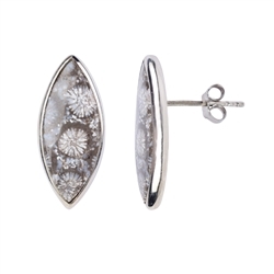 244023220078 Earstud Petrified Coral (gray) Marquise, 2.2cm, platinum plated | Marco Schreier