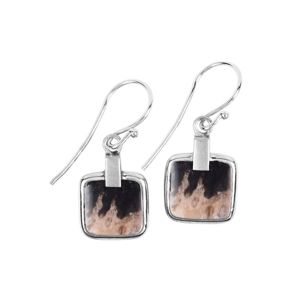 Earrings Petrified Palm Wood squares (10 x 10mm), 3.4cm, platinum plated
