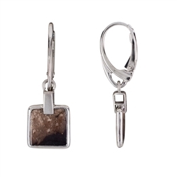 244118302474 Earrings Petrified Palm Wood squares (10 x 10mm), 3.3cm, rhodium-plated | Marco Schreier