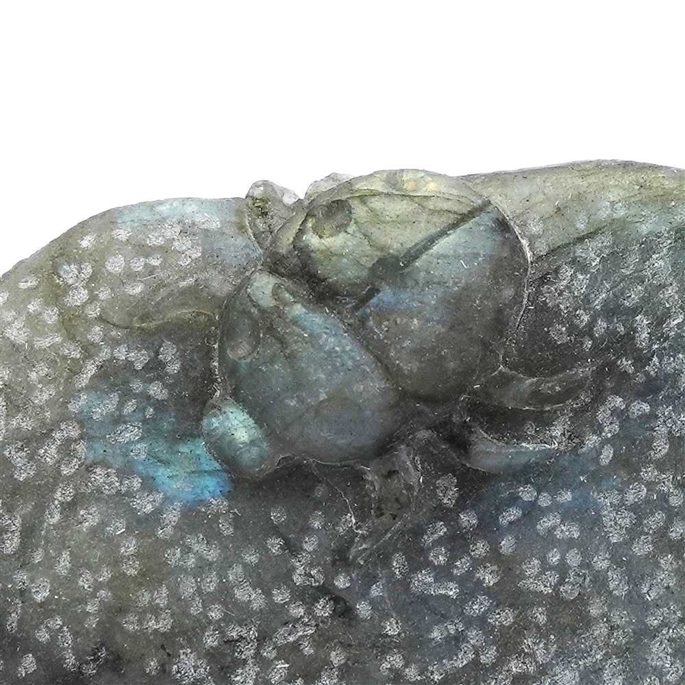 Gravure scarabée, labradorite, 6 x 8cm, Pièces uniques 023