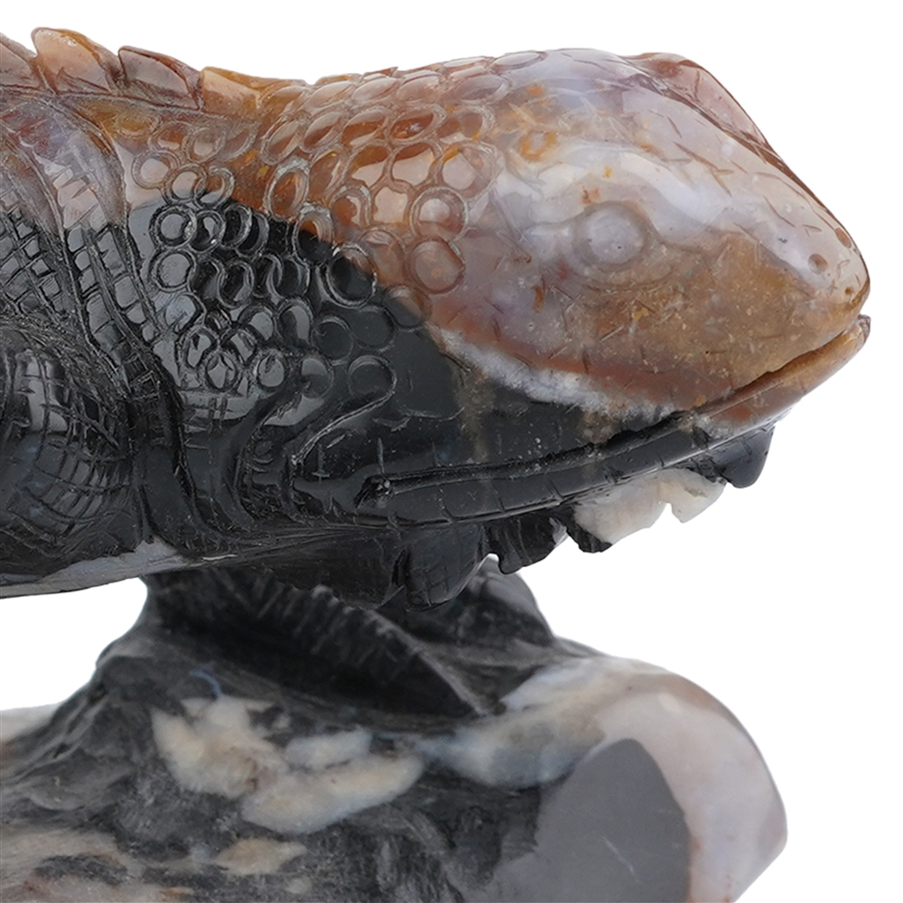 Engraving iguana Sardonyx unique 003, 12cm