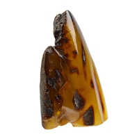 One side polished piece of Amber (natural), 11,2cm unique #015