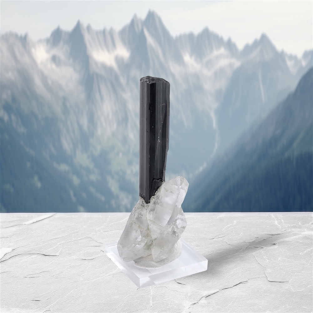 Schorl di cristallo (Skardu), 7,0 cm, unico 011 | Marco Schreier