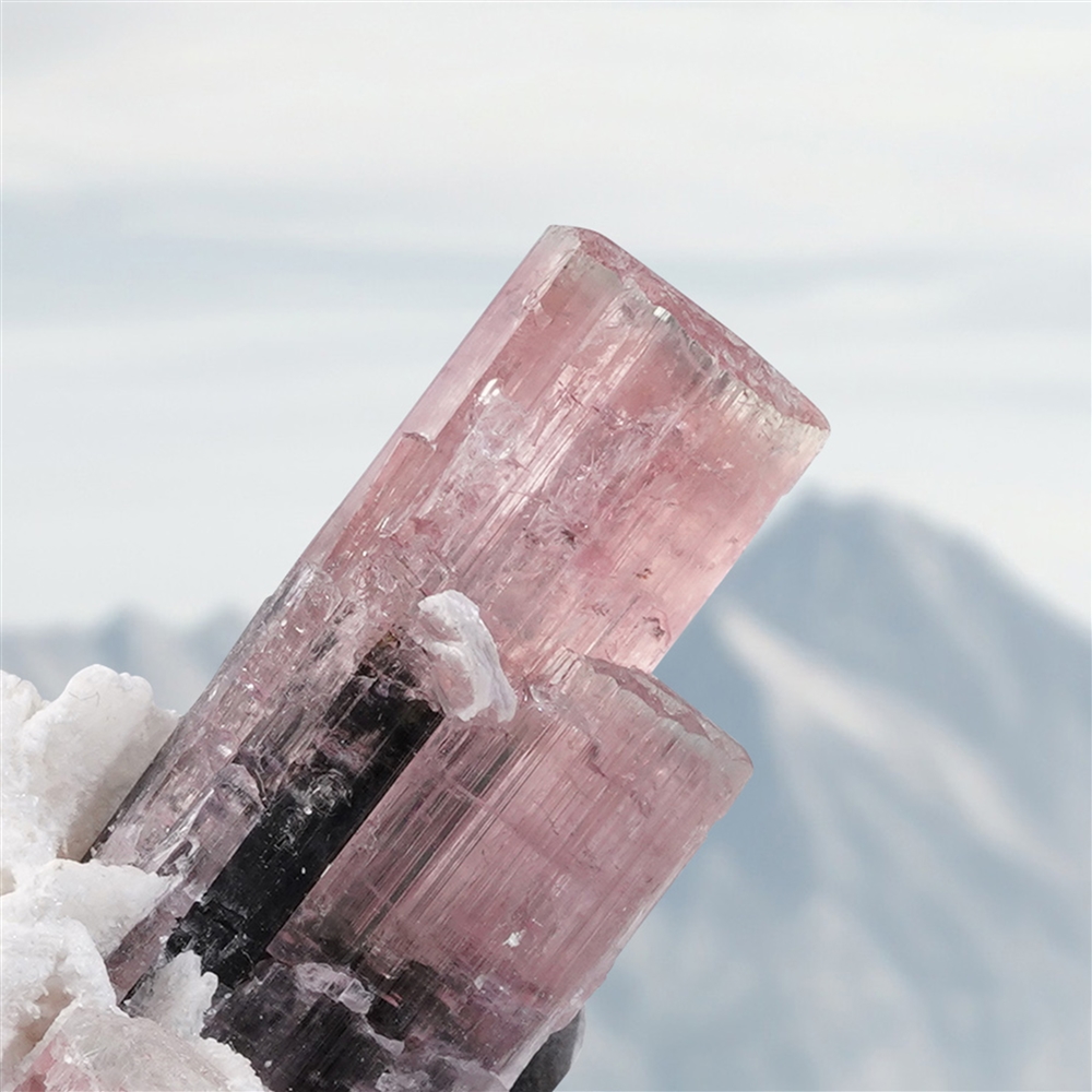 Kristall Turmalin (pink, schwarz) in Albit Unikat 004, 10,2cm
