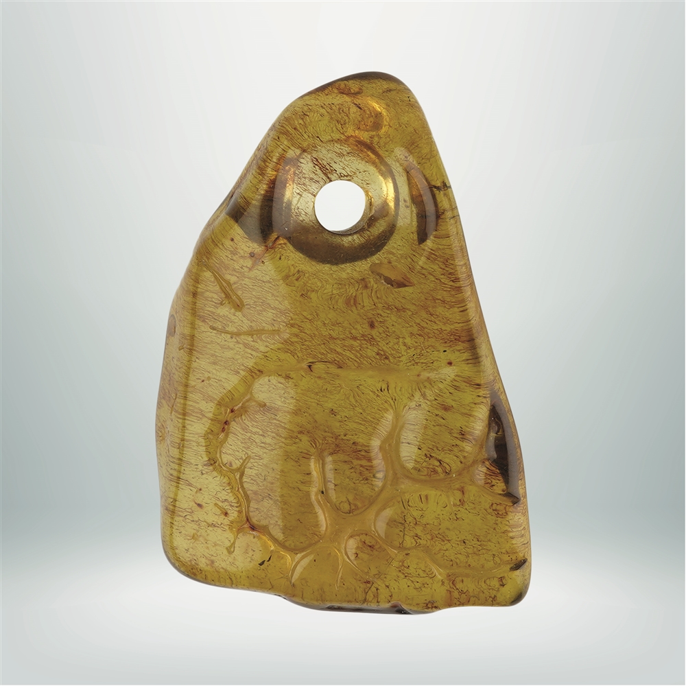 Copal perforado único 008, 5,5cm