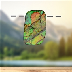 2811583092 Ammolite drilled unique 092 | Schreier wholesale; gems, healing stones & jewelry