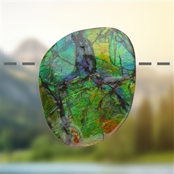 2811583110 Ammolite drilled unique 110, 5.0cm | wholesaler gems, healing stones & jewelry