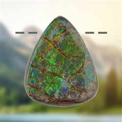 2811583111 Ammolite drilled unique 111, 5.0cm | wholesaler gems, healing stones & jewelry