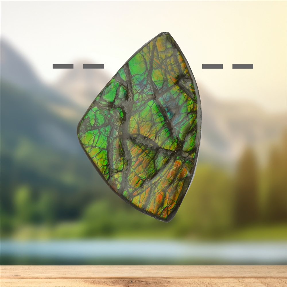 2811583116 Ammolite drilled unique piece 116, 4.4 cm | wholesaler gems & healing stones