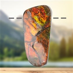 2811583124 Ammolith gebohrt, 5,6cm, Unikat 124 | Schreier Edelsteine, Heilsteine & Schmuck