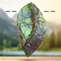 2811583126 Ammolith gebohrt, 6,4cm, Unikat 126 | Schreier Edelsteine, Heilsteine & Schmuck
