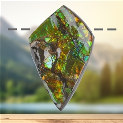 2811583129 Ammolith gebohrt, 5,6cm, Unikat 129 | Schreier Edelsteine, Heilsteine & Schmuck