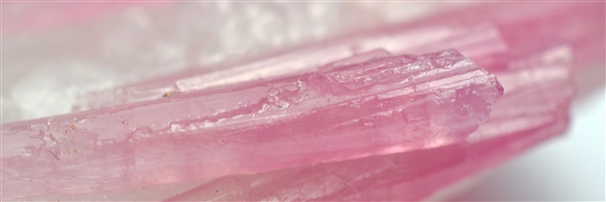 Tourmaline drilled | Marco Schreier wholesale suppliers - gems, stones &amp; jewelry