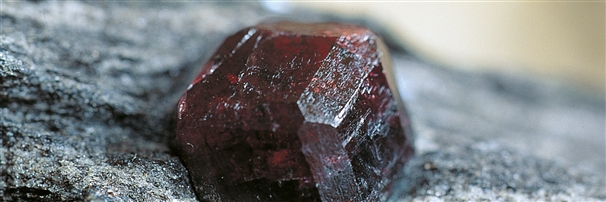 Garnet | Marco Schreier wholesale suppliers - gems, healing stones &amp; jewelry