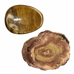 Madera petrificada pulida | piedras preciosas, piedras curativas y joyer&#237;a